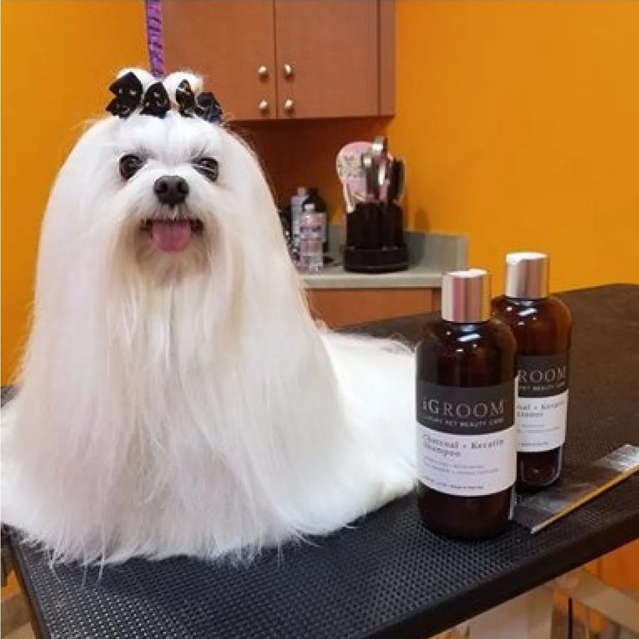 Charcoal   Keratin Pet Conditioner