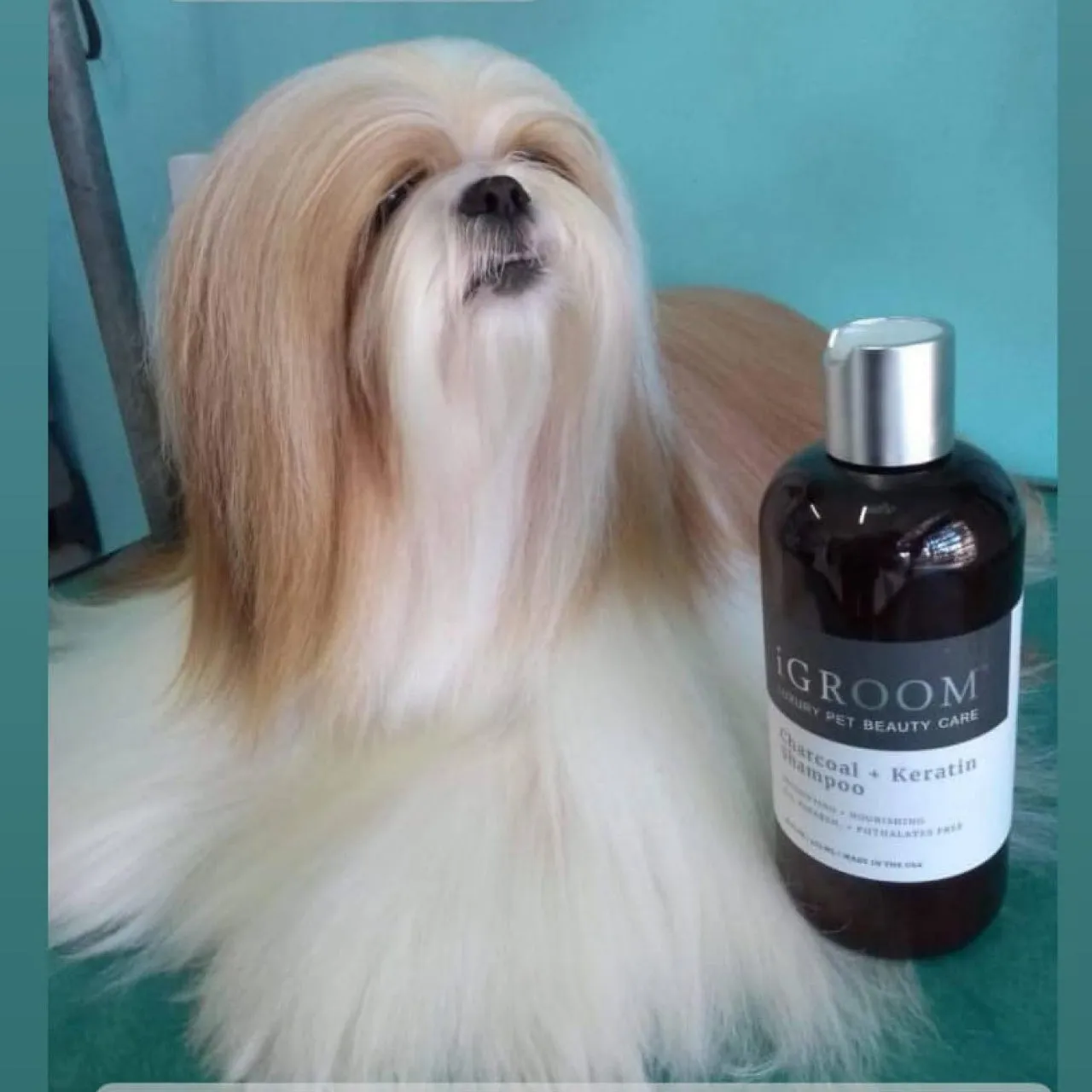 Charcoal   Keratin Pet Conditioner