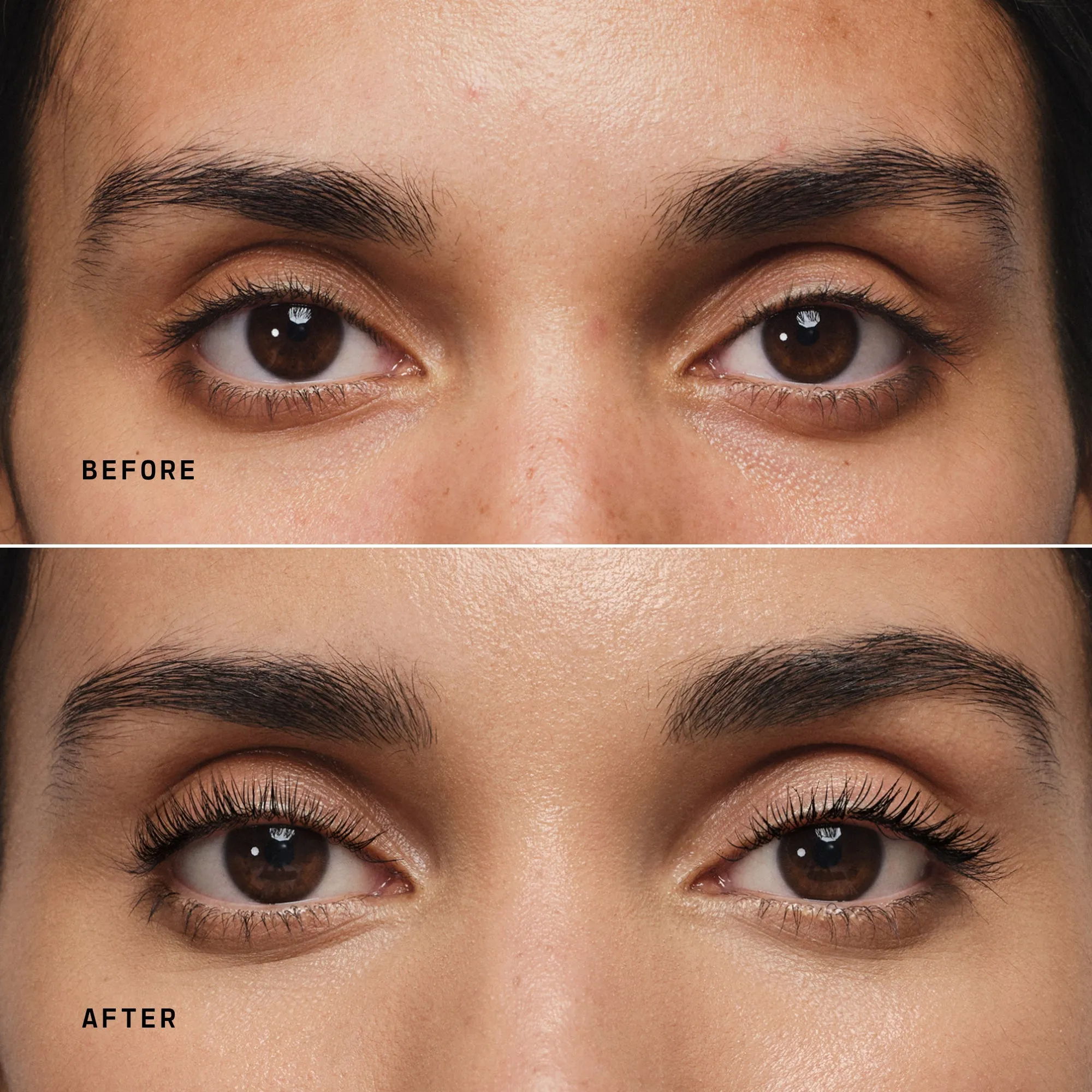 Day Lash