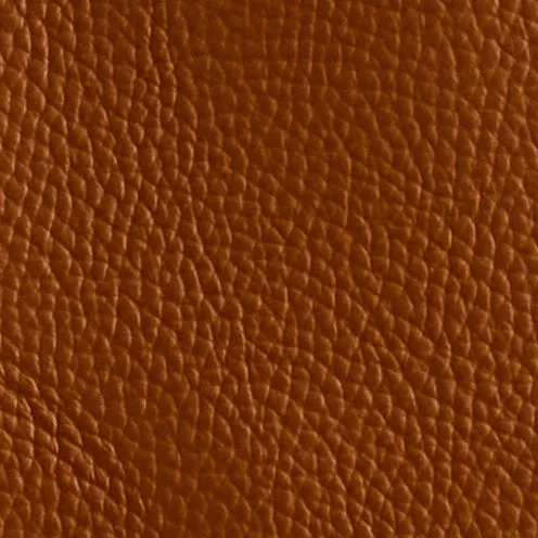 E42 in Acorn